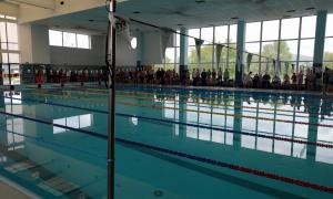 IMG_20170506_110604_0.jpg