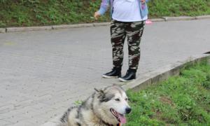 IMG_1271.jpg