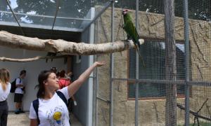 IMG_2479_1.jpg