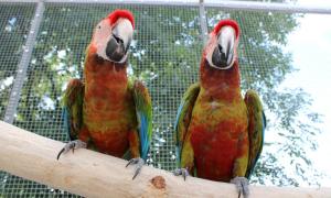 IMG_2481_1.jpg