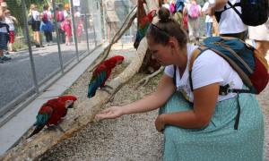 IMG_2484_1.jpg