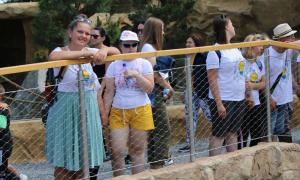 IMG_2552.jpg