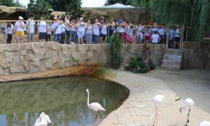 IMG_2554.jpg