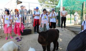 IMG_2594.jpg