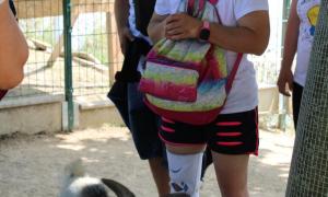 IMG_2595.jpg