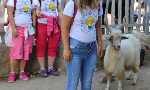 IMG_2599.jpg