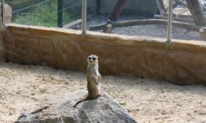 IMG_2628.jpg