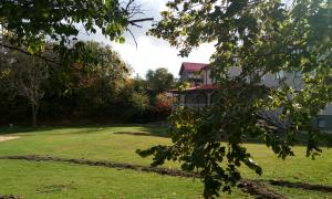 IMG_20171009_143224.jpg