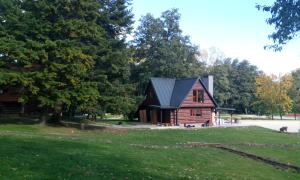 IMG_20171009_143250.jpg
