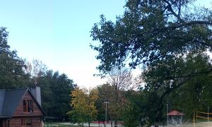 IMG_20171009_143305.jpg