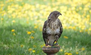 DSC_0220_1.jpg